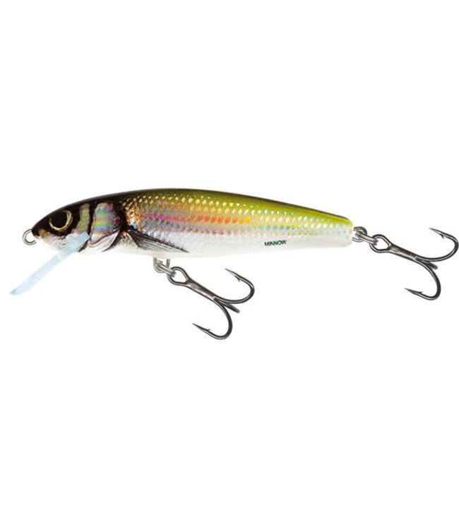 Salmo Sinking Minnow 7cm - 8gr (Tiefe 1.5-2m)