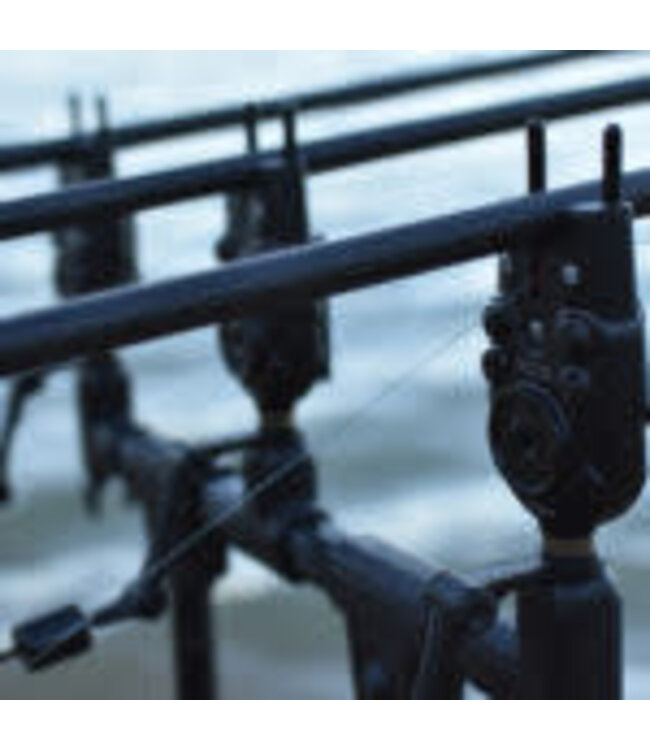 Prowess Bissanzeiger Excelia