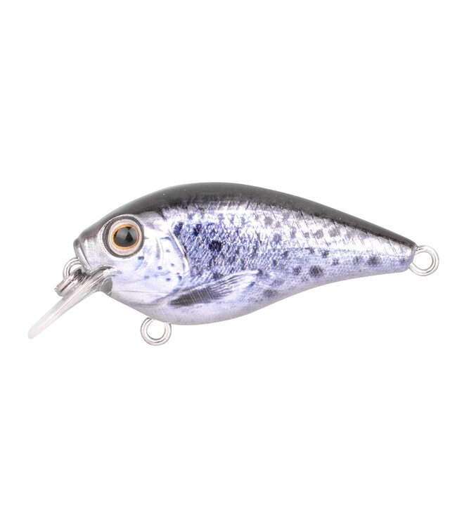 Spro Ikuru Cranck Short Lip (Tiefe 1.2m) 4.5cm - 6gr