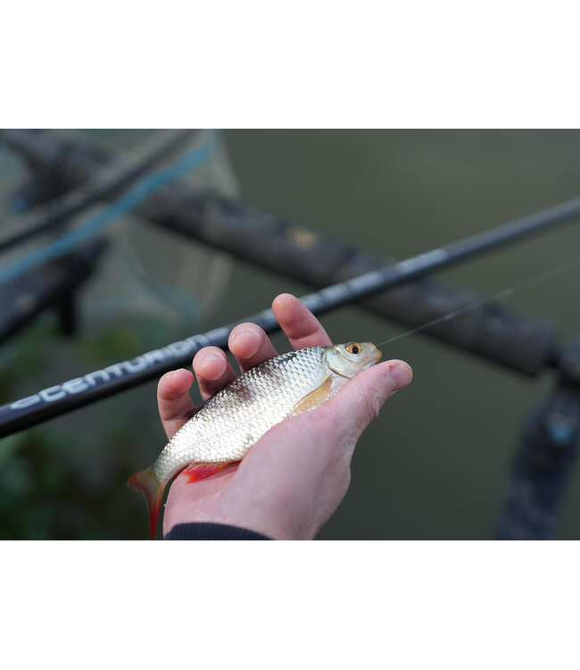 Cresta Super Pack Competition Pro S440 11.50m