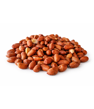 Reniers Fishing Arachides Redskin XXL 1 kg – particules riches en huile pour eaux chaudes