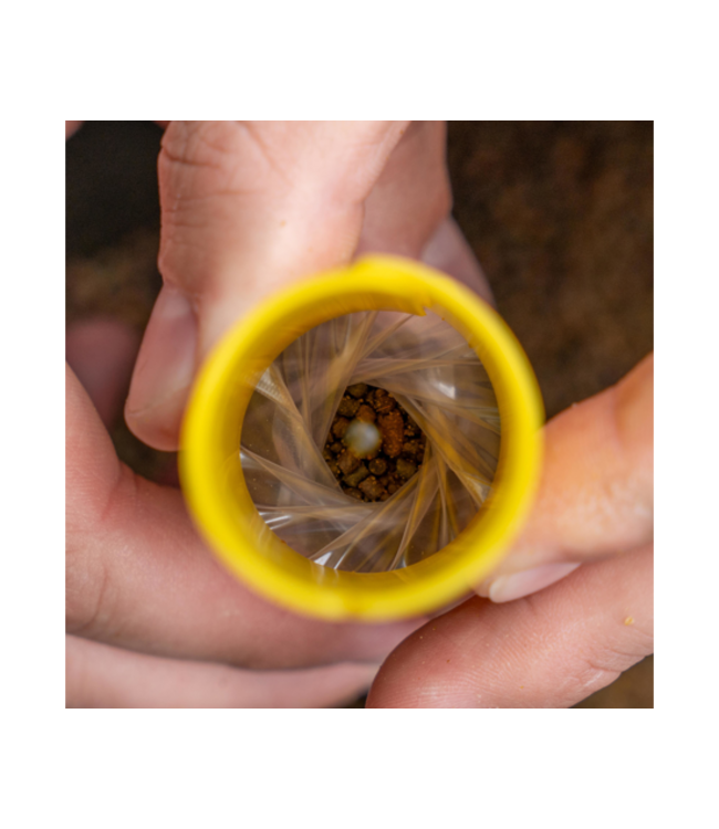 Avid Carp Transfer Solid Bag System Medium Melt (20 Bags)