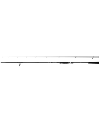 Shimano Bassterra A Power Game Spin – Canne Spinning Mer Puissante pour Gros Carnassiers