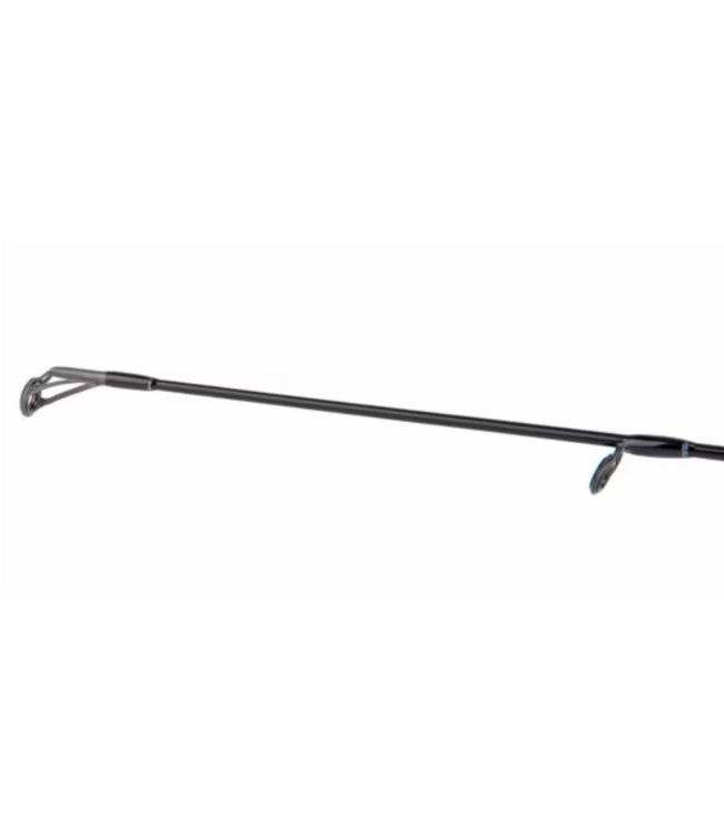 Shimano Bassterra A Seabass Spinning