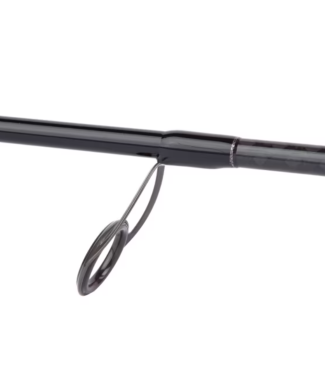 Shimano Bassterra A Seabass Spinning