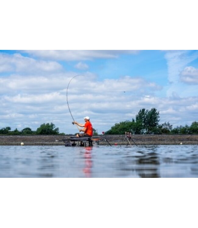 Guru Aventus Steve Ringer Light Feeder