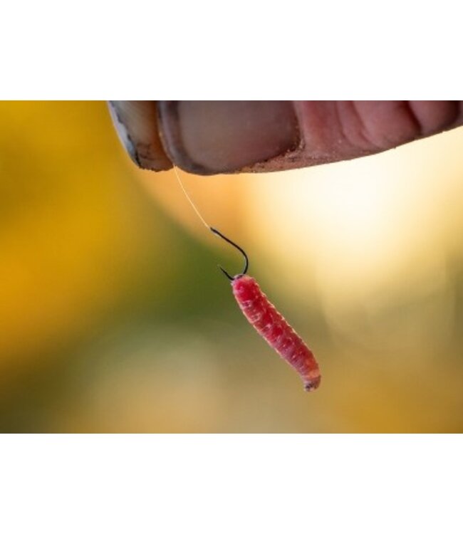 Guru Match Special Rig 20cm