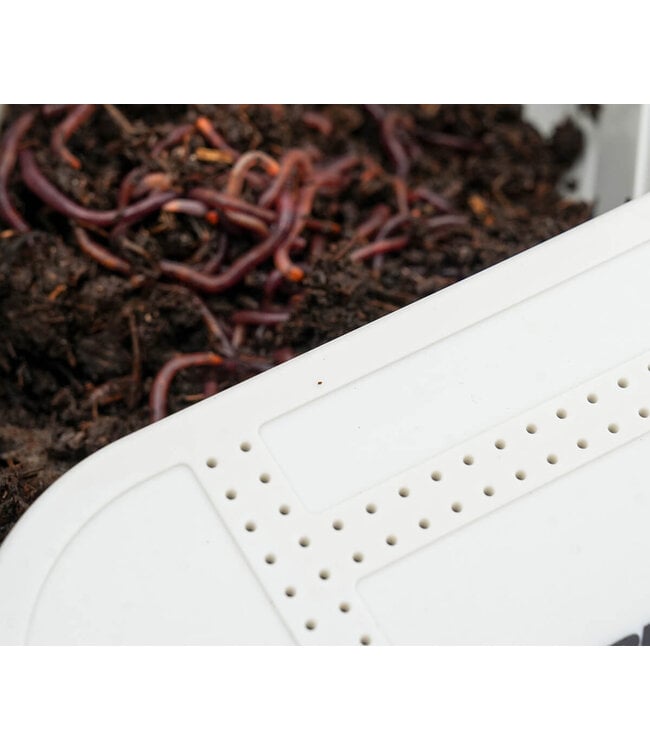 Cresta Bait Tube 600ml Holed Lid