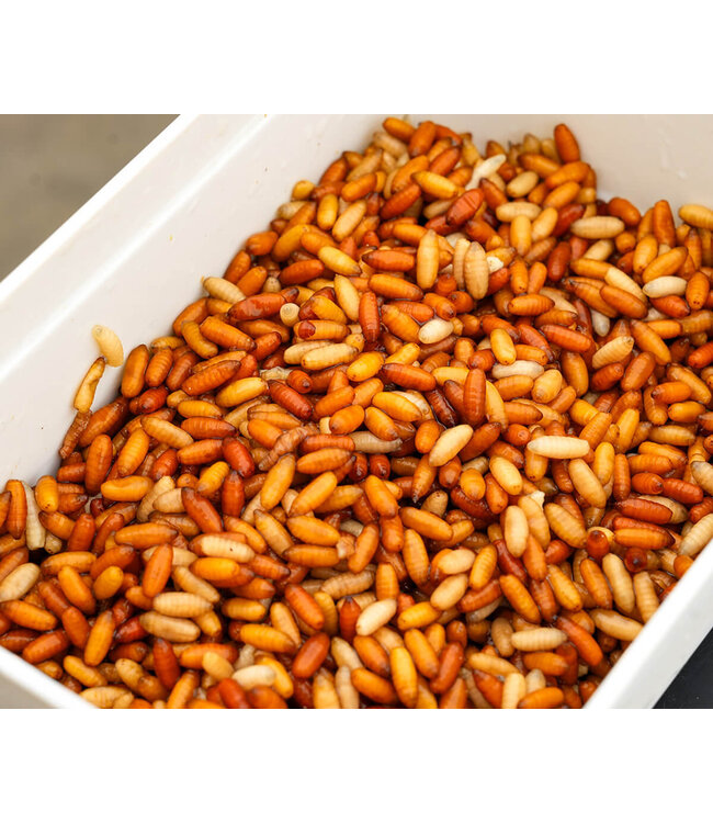 Cresta Bait Tube 1600ml Closed Lid