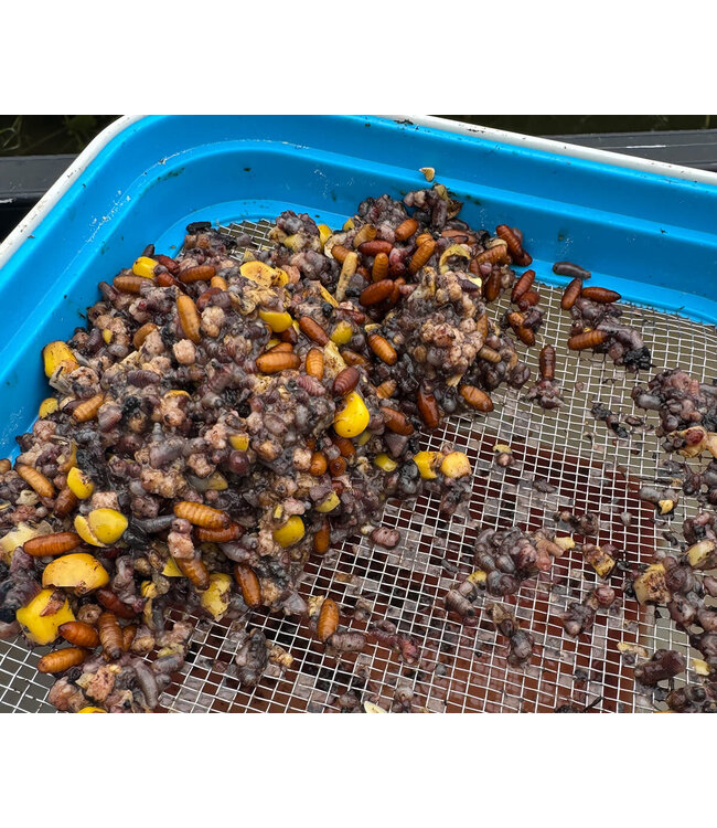 Cresta Bait Tube 1600ml mit Metall-Sieb