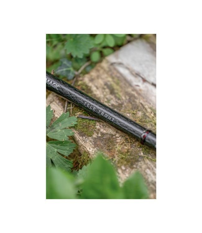 Zebco Magic Trout Canne Truite