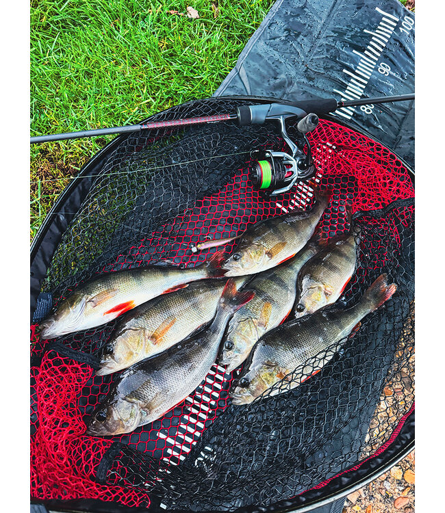 Fox Rage Mini Tiddler Mixed Colour Pack Loaded (4 pcs) 8cm - Jig Head 5g - Hook 1/0