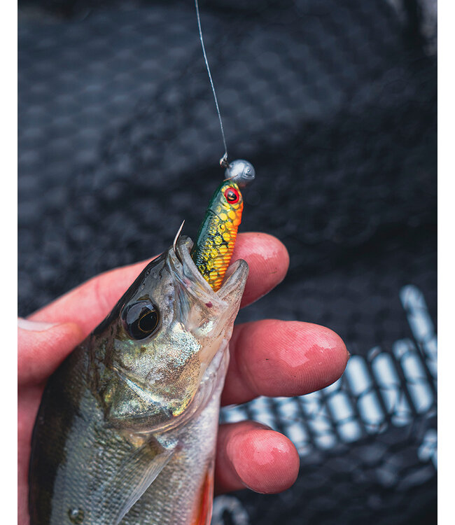 Fox Rage Mini Tiddler Mixed Colour Pack Loaded (4 pcs) 8cm - Jig Head 5g - Hook 1/0