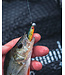 Fox Rage Mini Tiddler Mixed Colour Pack Loaded (4 pcs) 8cm - Jig Head 5g - Hook 1/0