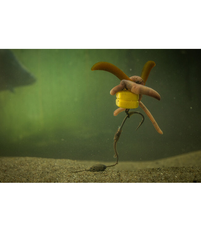 Pole Position Corn Maggot Clip – Kunstmaïs met Madenclip