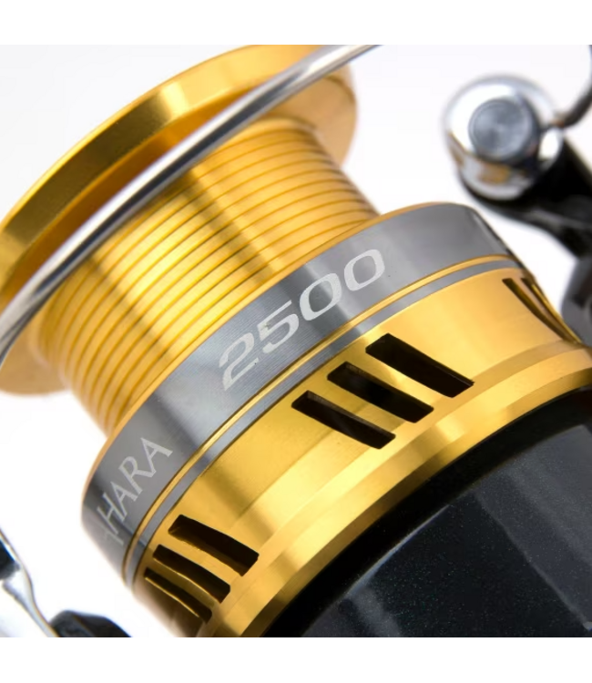 Shimano Sahara 2500 RD – Heckbremsrolle