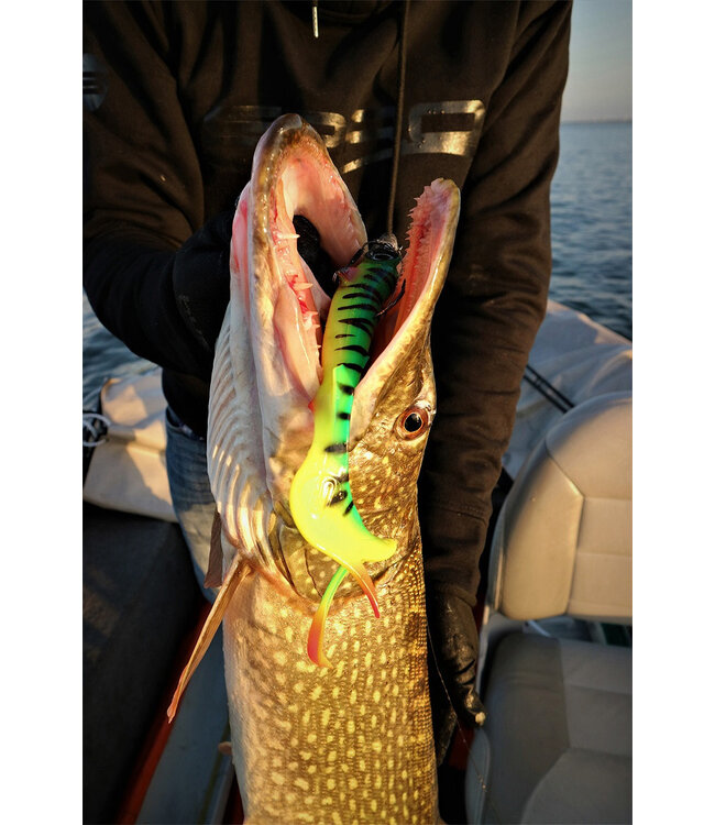 Spro Iris Shocktail 30cm 60g – Grote Softbait voor Snoek en Specimen Hunters