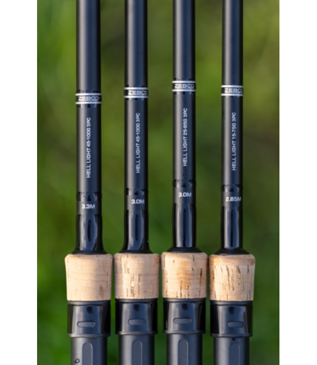 Zebco After Dark Hell Light – Canne avec Scion LED pour la Pêche de Nuit