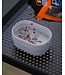Matrix Mini Expander Tub 0.5 Pint – Kompakte rechteckige Köderbox mit luftdichtem Deckel für Expander Pellets und kleine Hakenköder
