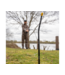 Avid Carp All-Terrain Yard Sticks – Distance Sticks Aluminium Anodisé avec Pointes Inox, T-Bar et Cordons de Mesure