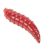 Korum Floating Grubs Imitation Maggots – Robuste schwimmende Kunstmaden für verschiedene Hakenköder-Präsentationen