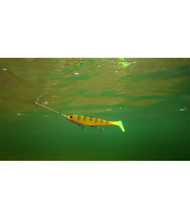 Fox Rage Pro Shad Natural Classic II 14cm – Realistische Softbait met Body Roll, Stabiele Staartactie en UV Natural Kleuren