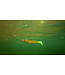 Fox Rage Pro Shad Natural Classic II 14cm – Realistische Softbait met Body Roll, Stabiele Staartactie en UV Natural Kleuren