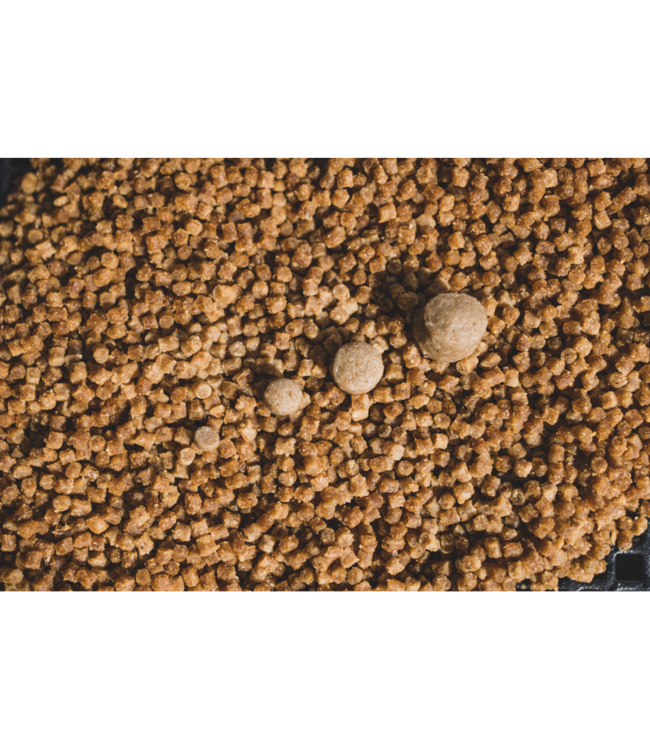Sonubaits Pro Expander Pellets – Pellets Expander Souples qui Coulent sans Pompe pour Grande Canne, Feeder et Commercial