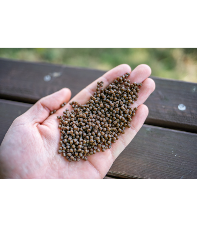 Sonubaits Pro Expander Pellets – Pellets Expander Souples qui Coulent sans Pompe pour Grande Canne, Feeder et Commercial