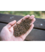 Sonubaits Pro Expander Pellets – Pellets Expander Souples qui Coulent sans Pompe pour Grande Canne, Feeder et Commercial