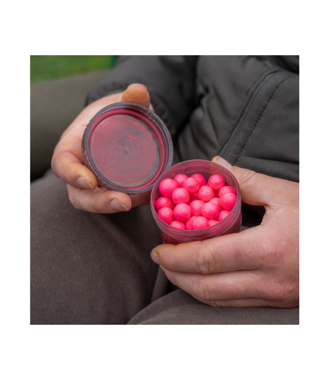 Avid Carp Hookbait Pots Small – Petits Pots Smoke Grey pour Esches avec Couvercle Étanche à Vis et Joint O-Ring