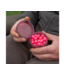 Avid Carp Hookbait Pots Small – Kompakte Smoke Grey Hakenköder-Dosen mit auslaufsicherem Schraubdeckel und Gummi-O-Ring