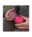 Avid Carp Hookbait Pots Small – Petits Pots Smoke Grey pour Esches avec Couvercle Étanche à Vis et Joint O-Ring