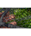 Preston Monster XS Lift Net – Extra Sterk Landingsnet met Geïntegreerde Lift Handle, Aluminium Frame en Latex Mesh