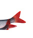 Fox Rage Ultra Natural Roach Fillet – Leurre Souple Ultra Réaliste pour Dropshot, Tête Plombée et Montage Weedless