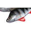 Fox Rage Ultra Natural Roach Fillet – Leurre Souple Ultra Réaliste pour Dropshot, Tête Plombée et Montage Weedless