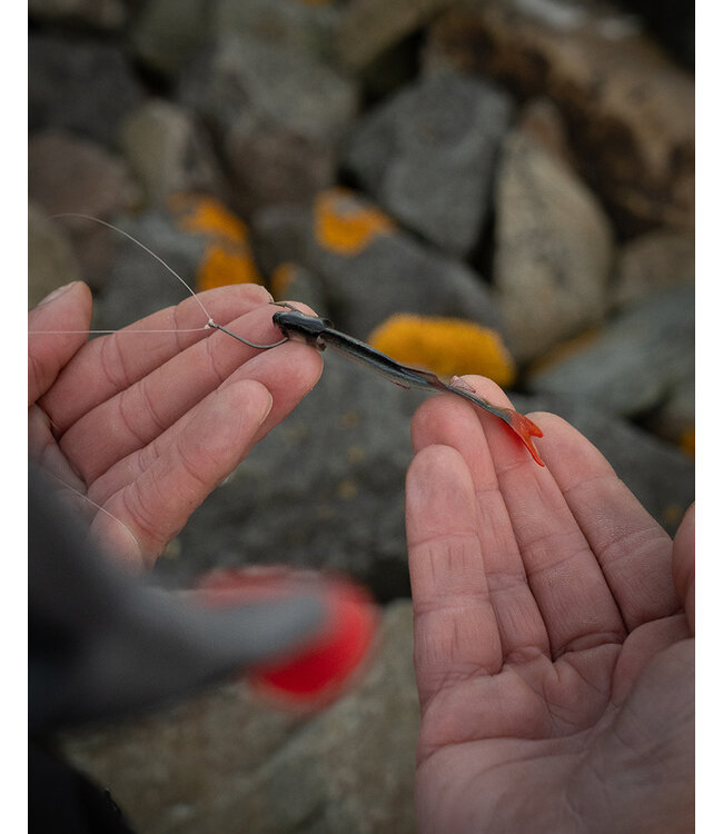 Fox Rage Ultra Natural Roach Fillet – Lebensechter Softbait für Dropshot, Jigkopf und Weedless-Montage