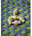 Matrix Feeder Beads (5 pcs) – Compacte Quick-Change Kralen voor Inline Feeders en Loden