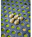 Matrix Hook Length Beads (5 pcs) – Compacte Quick-Change Kralen voor Running Feeder Montages