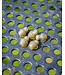 Matrix Hook Length Beads (5 pcs) – Perles Quick-Change Compactes pour Montages Feeder Coulissants