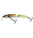 Salmo Fanatic Flottant (profondeur 0.5-1m) 7cm - 5g