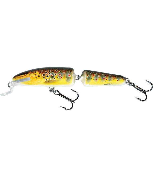 Salmo Fanatic Flottant (profondeur 0.5-1m) 7cm - 5g
