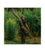 Avid Carp RVS Revolve Single Sleeve