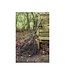 Zebco DB Series Latex Diamond Net 50cm 0,60–1,10m – Épuisette télescopique carnassier