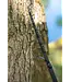 Korum Opportunist XTND Telescopic 10ft – Kompakte Carbon-Teleskoprute