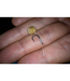 Preston XSP-B Eyed Barbless Hooks – Feederhaken, 10 stuks