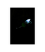 Zebco Trophy Single Bell Triple Light Set 3st 16mm – Verlichte beetmelders