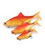 Fox Rage Ultra Realistic Replicant Roach Golden Roach – Realistische Softbait 10-18cm