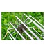 Guru Ground Bait Whisk – RVS Voergarde voor Boormachine