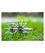 Guru Ground Bait Whisk – RVS Voergarde voor Boormachine
